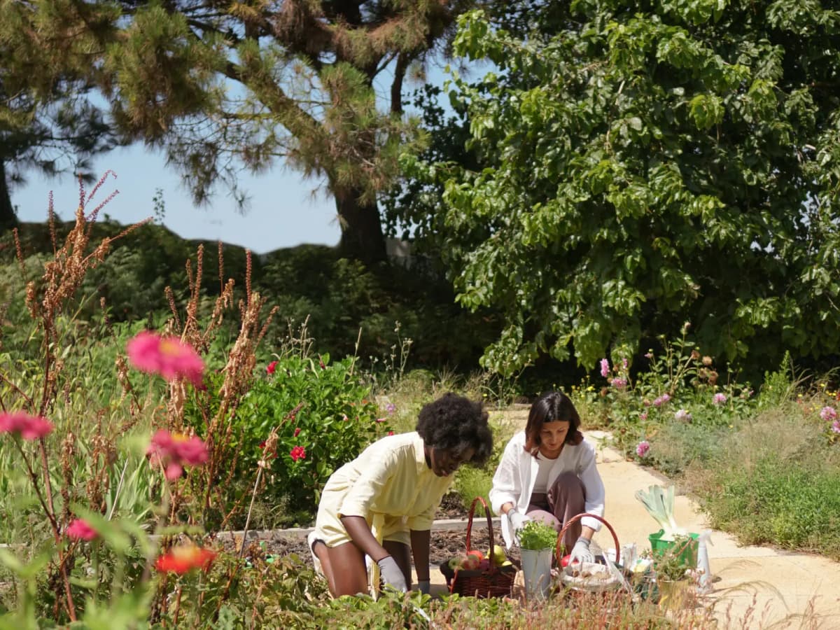 Lo Que Hace Especial a Olivasol